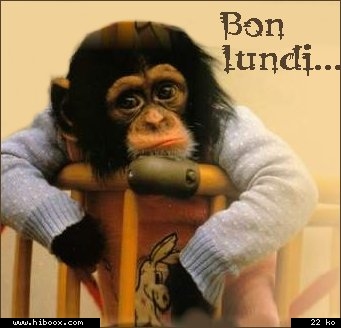 bon lundi à tous